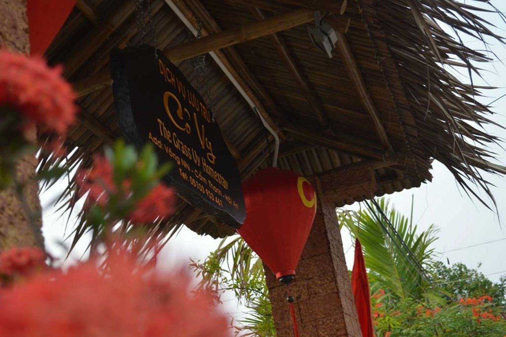 The Grass Vy Daire Hoi An Dış mekan fotoğraf