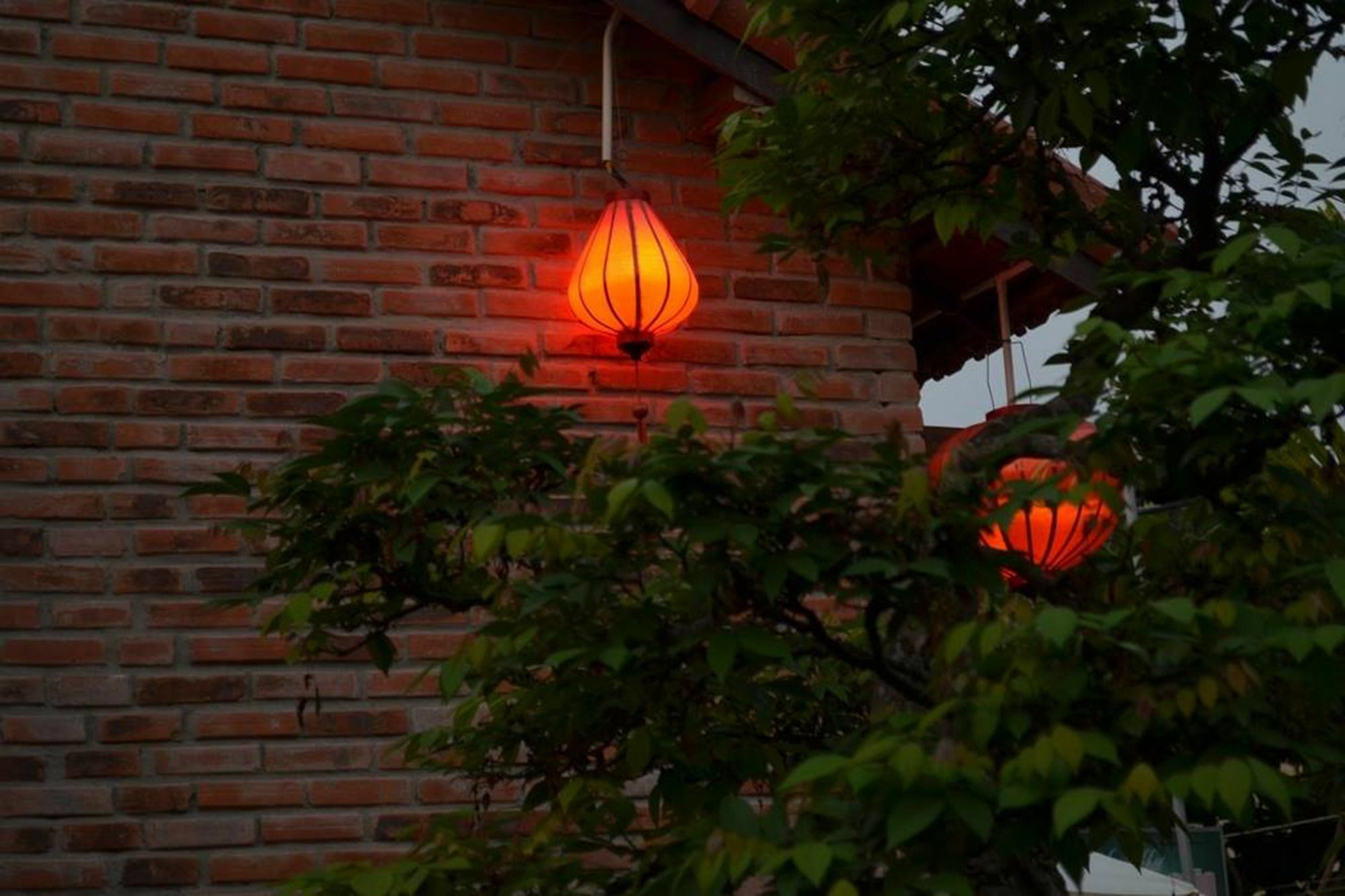 The Grass Vy Daire Hoi An Dış mekan fotoğraf