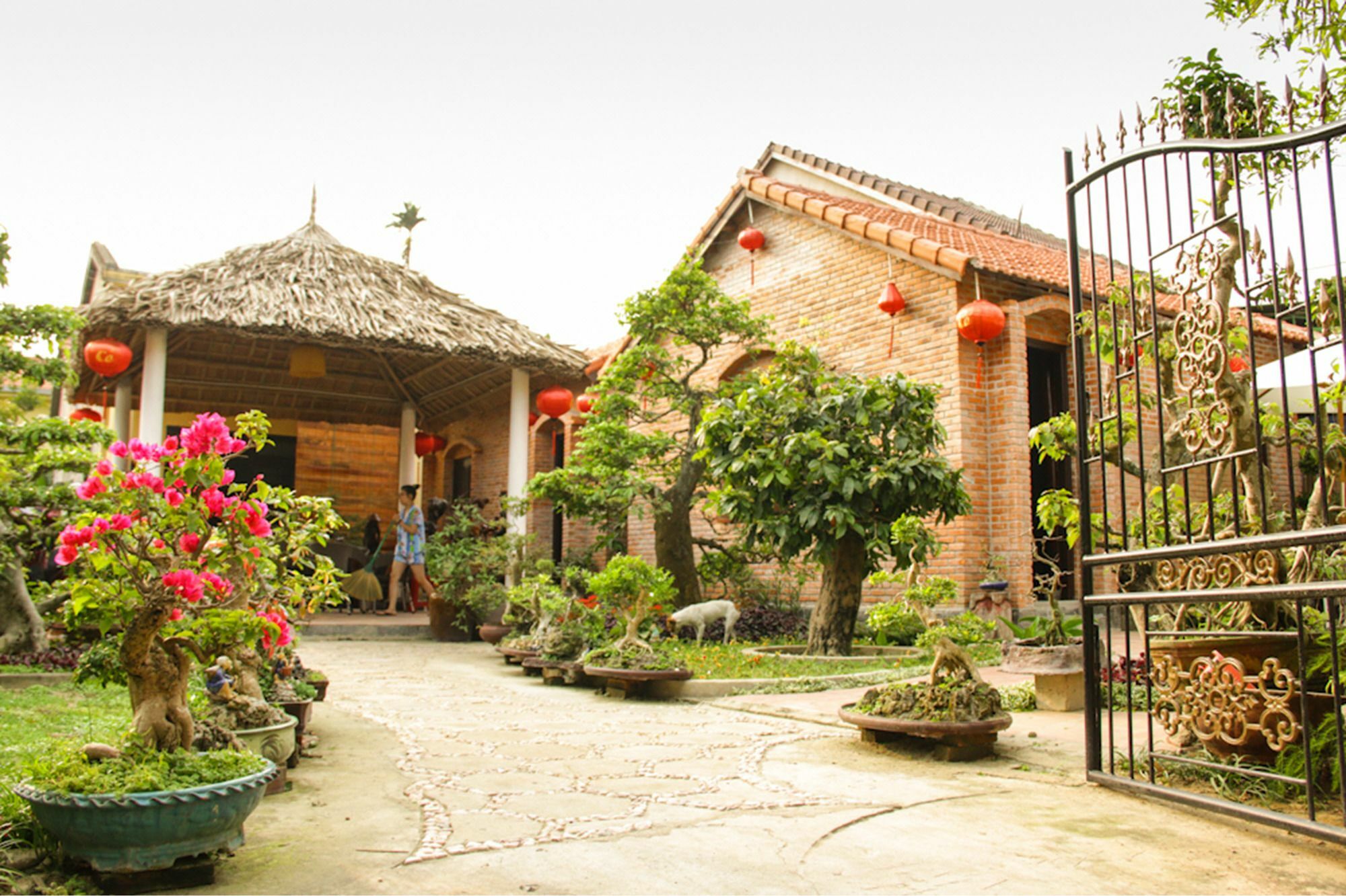 The Grass Vy Daire Hoi An Dış mekan fotoğraf