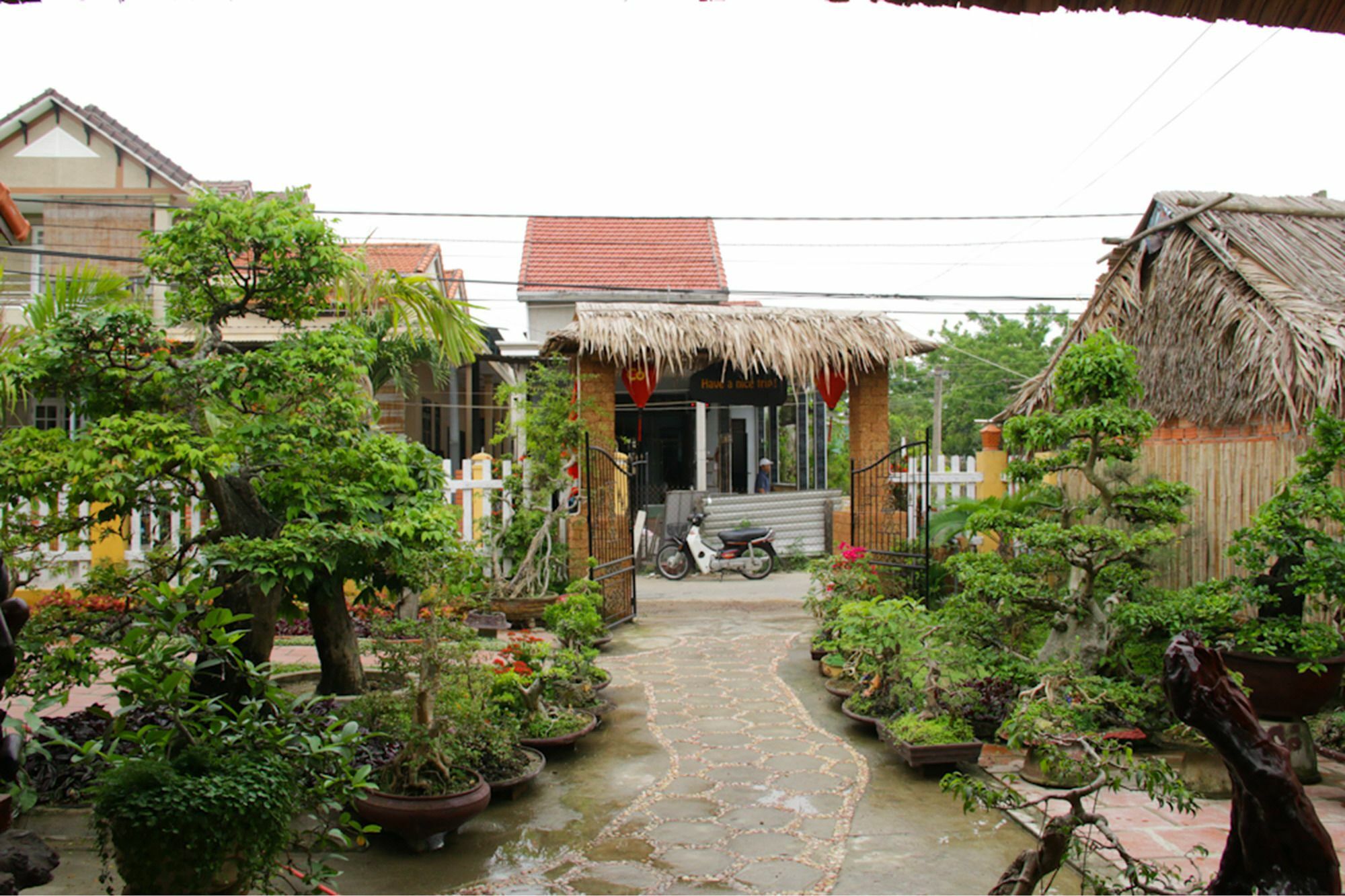 The Grass Vy Daire Hoi An Dış mekan fotoğraf