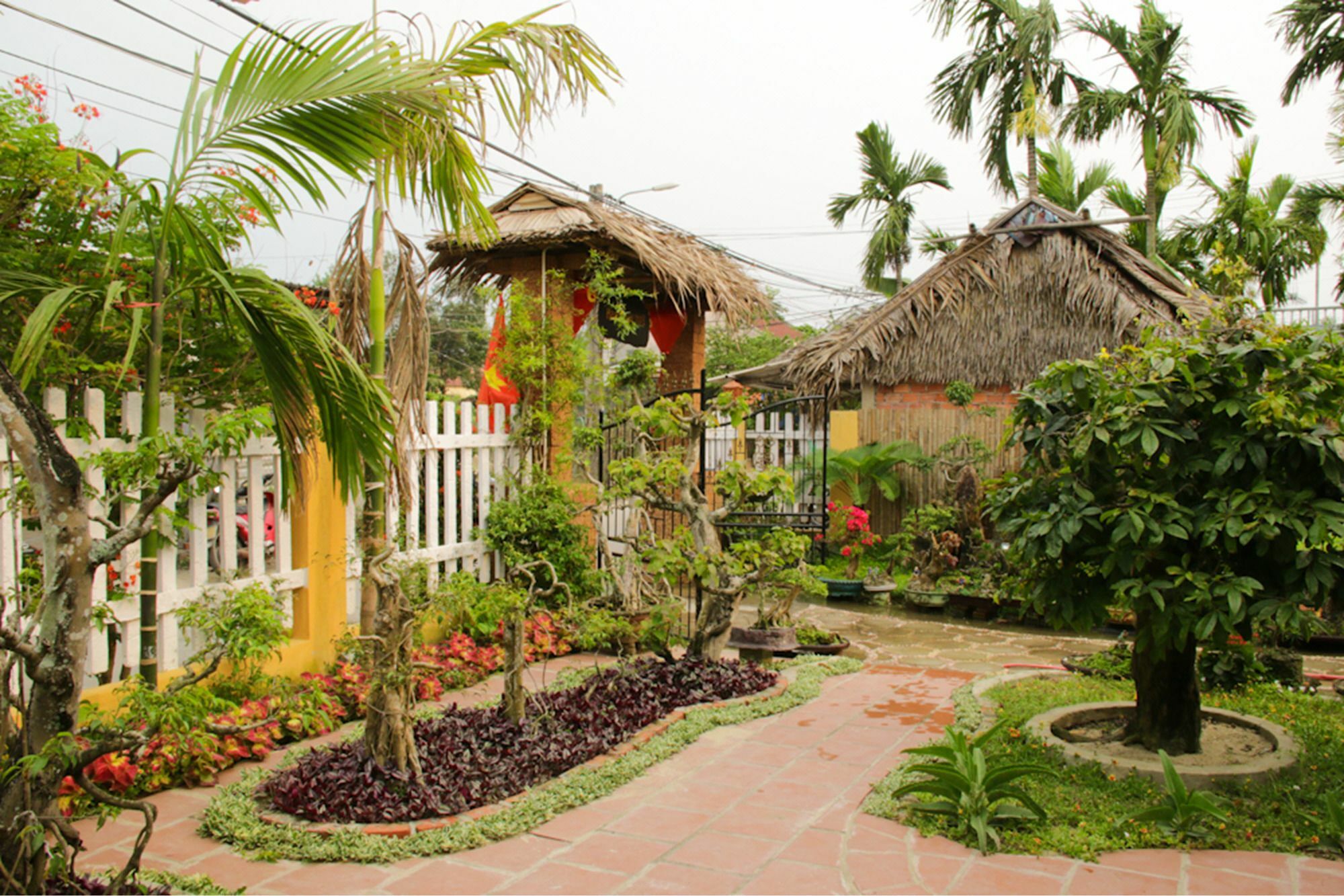 The Grass Vy Daire Hoi An Dış mekan fotoğraf